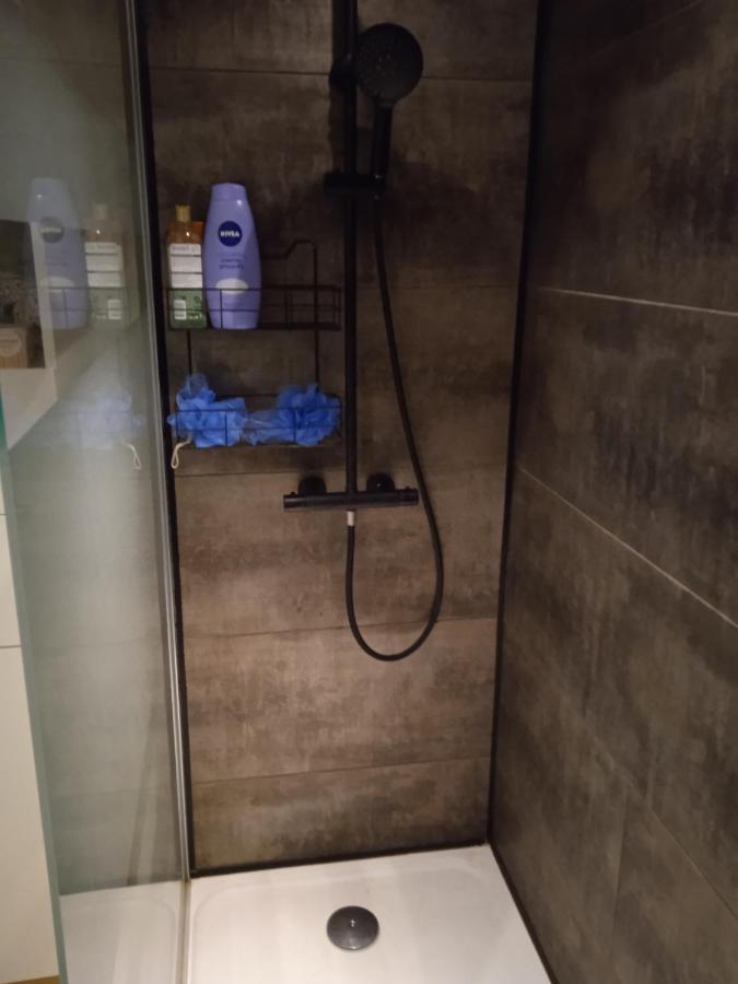 Tour Medievale De L'An Mille Apartment Loudes Luaran gambar